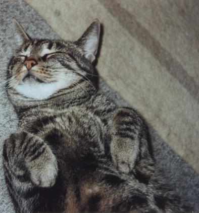 Mäuschen